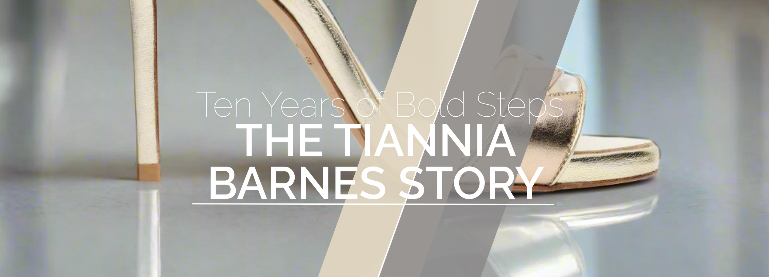 Ten Years of Bold Steps || The Tiannia Barnes Story